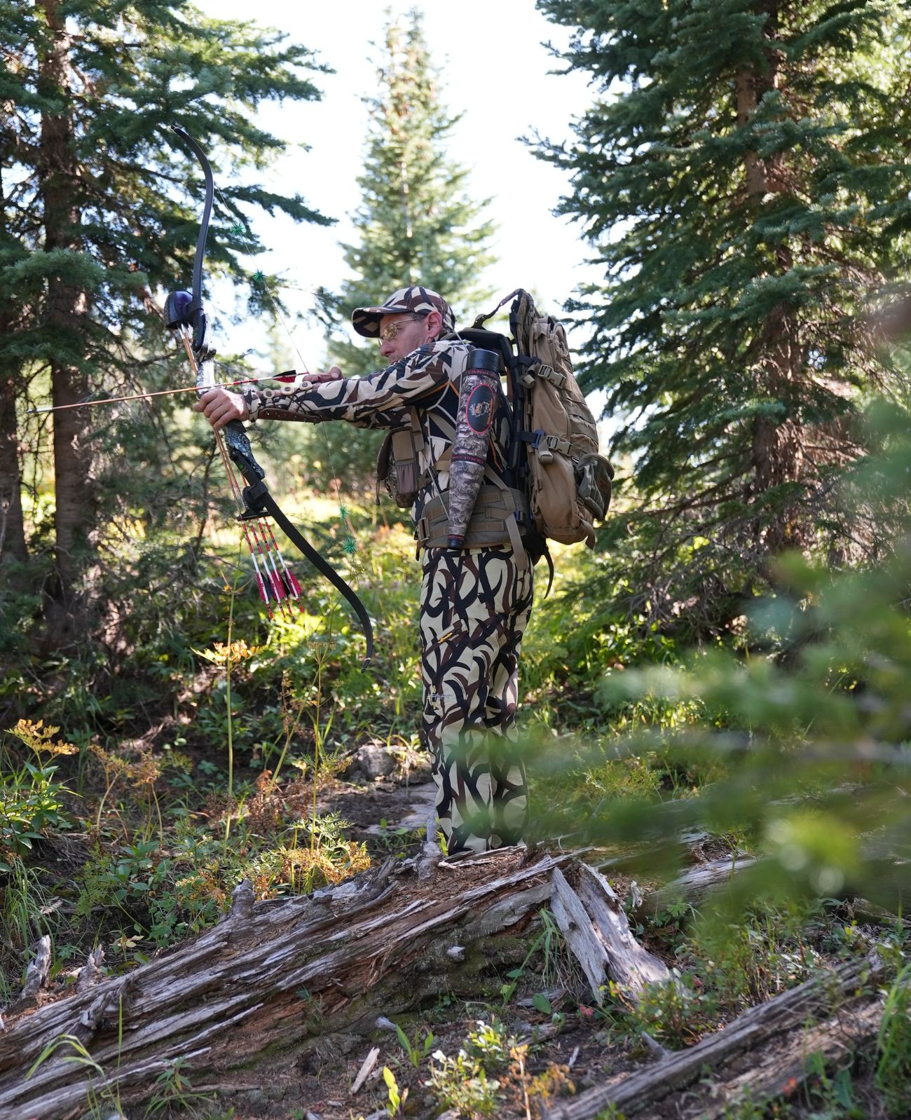 bows and archery