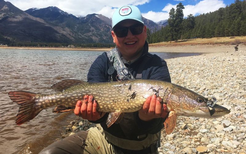 colorado fish