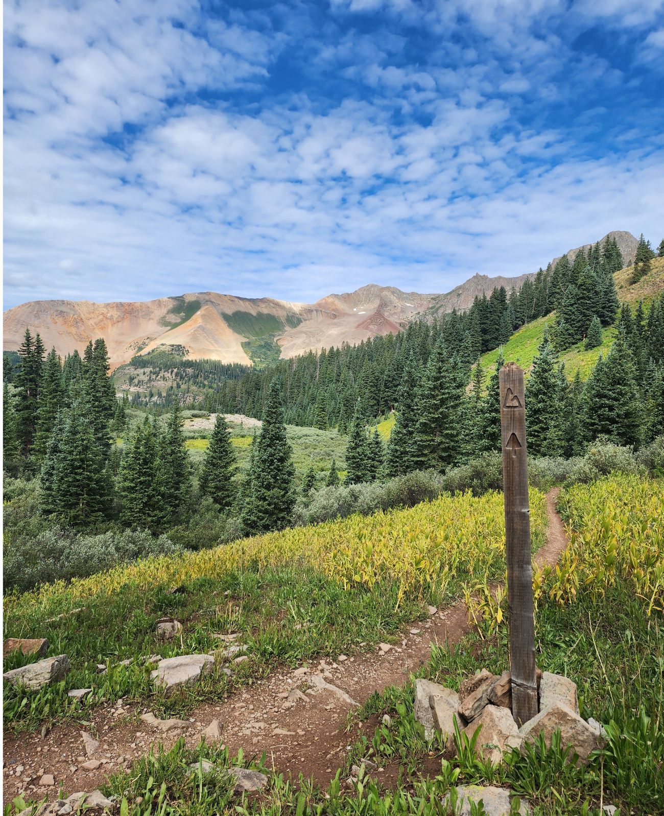 colorado trail camping