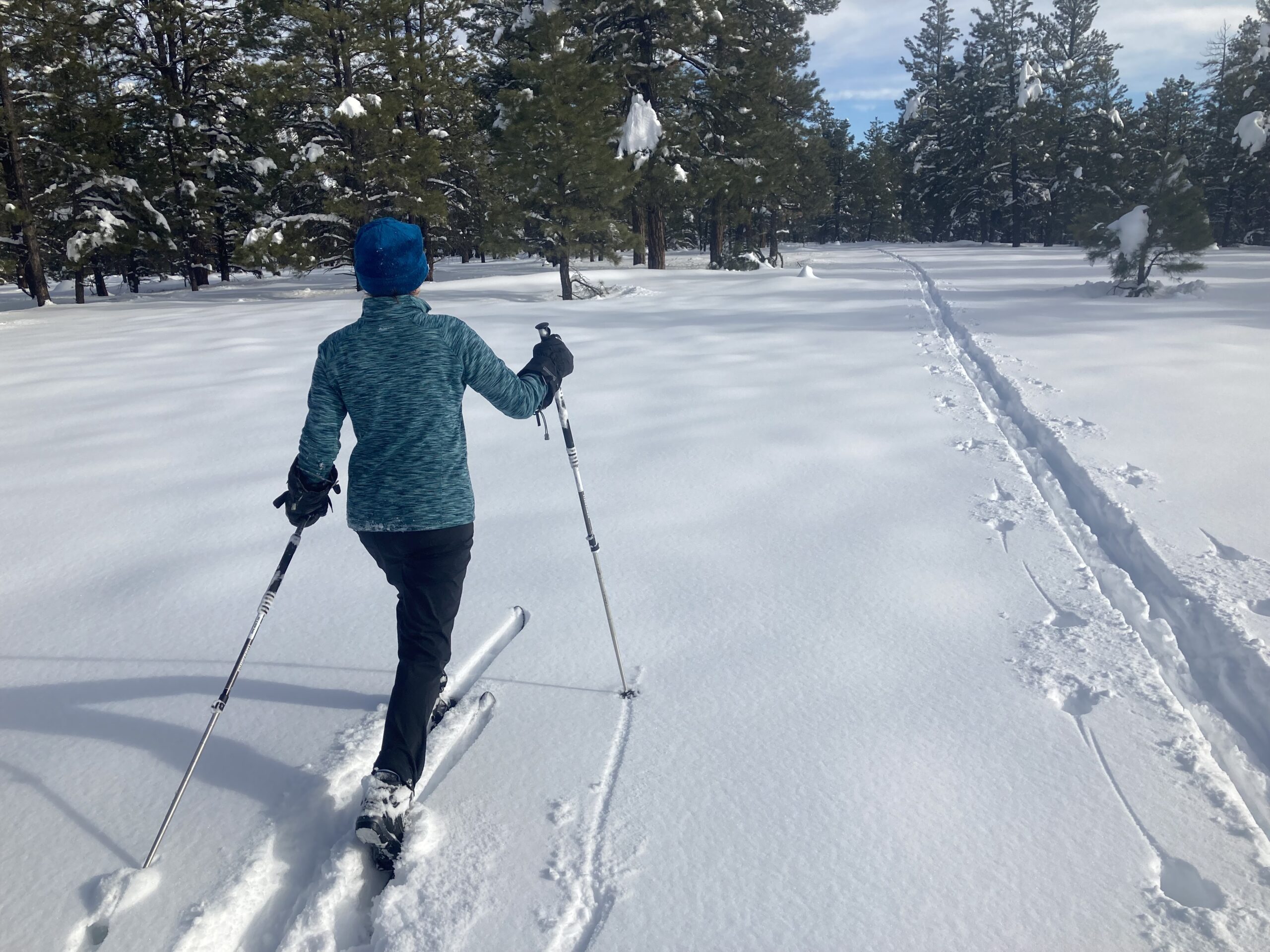 cross country skier